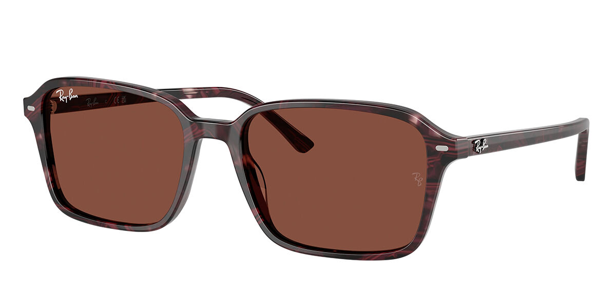 パープル Ray-Ban (Ray-Ban) サングラス | 正規品保障SmartBuyGlasses