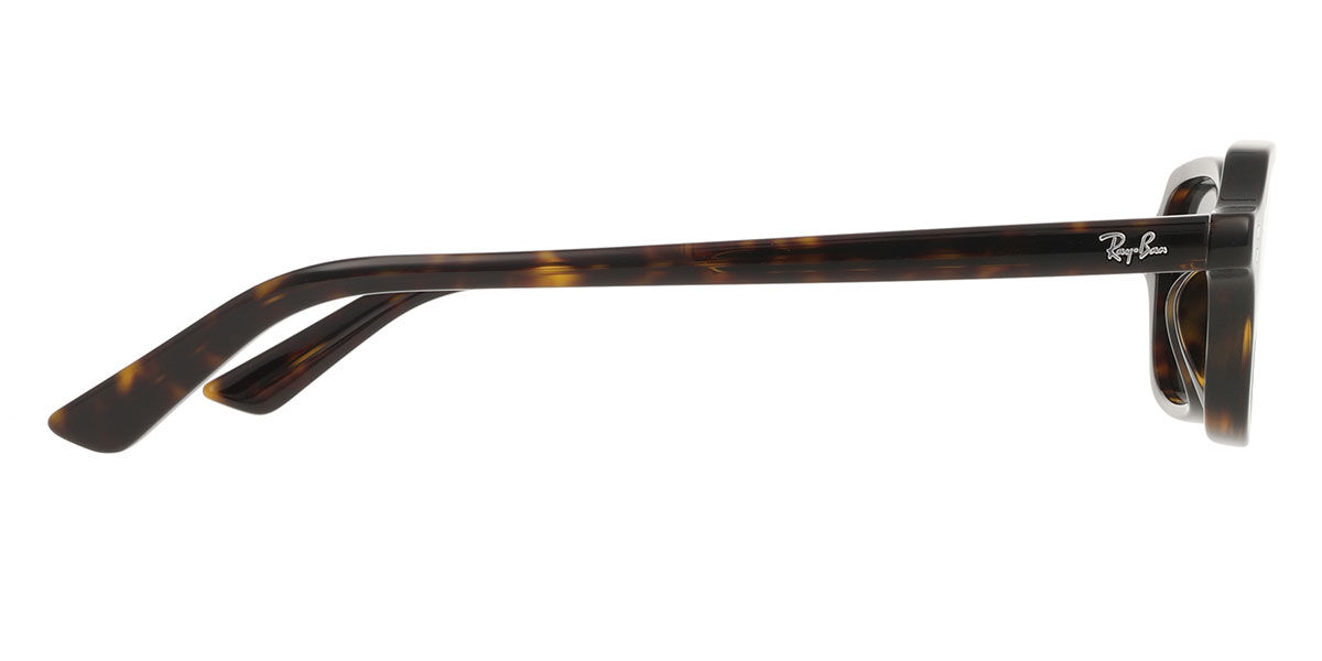 【美品】RayBan サングラス：モデルRB4455F Ray-Ban Zuri Bio-Based S (49 - 19) with Grey lenses and Tortoise