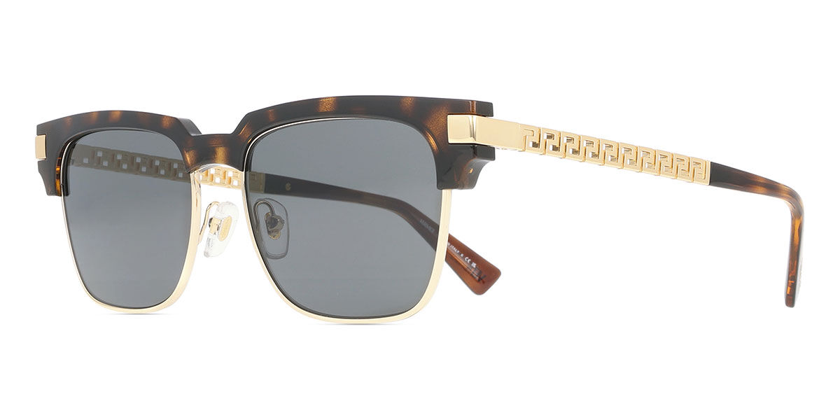 Versace VE4447 108/87 ブローライン形 Tortoise on Gold サングラス