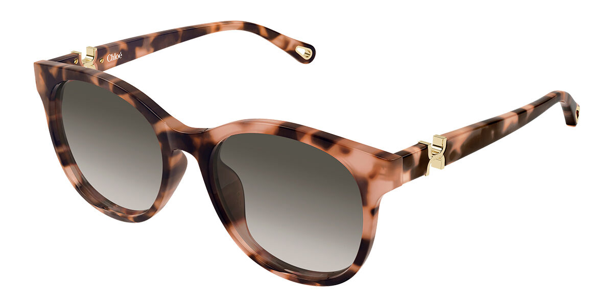Chloé CH0375SK Asian Fit 002 オーバル べっこう サングラス