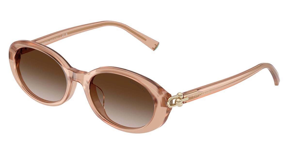 Tiffany & Co. TF4242D Asian Fit 80153G オーバル べっこう