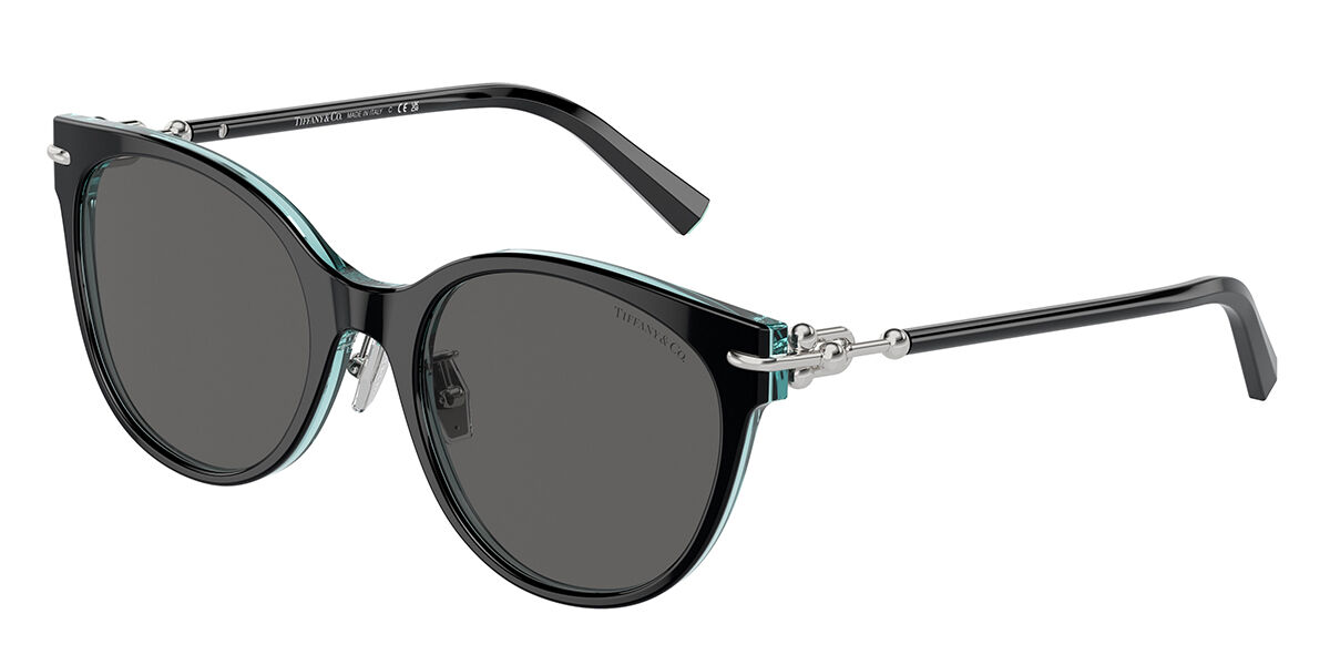 Tiffany & Co. オーバル サングラス｜100%UVカット・送料無料