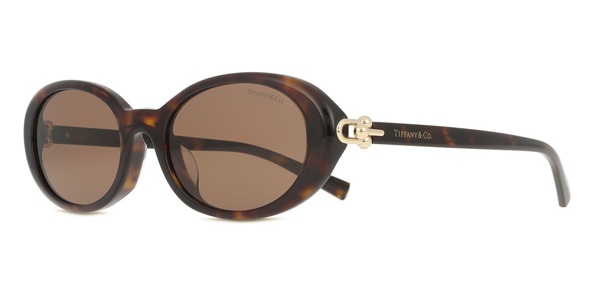 Tiffany & Co. TF4242D Asian Fit 80153G オーバル べっこう