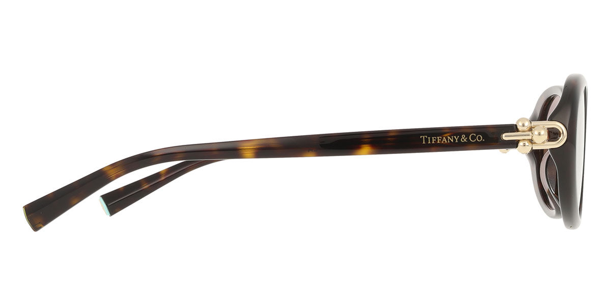 Tiffany & Co. TF4242D Asian Fit 80153G オーバル べっこう