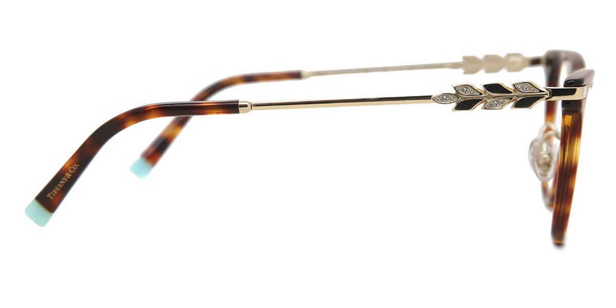 Tiffany & Co. TF2220BF Asian Fit 8002 オーバル べっこう 眼鏡